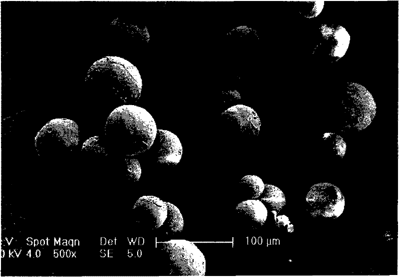 Microsphere combination medicament containing antiparkinsonism drug and application thereof