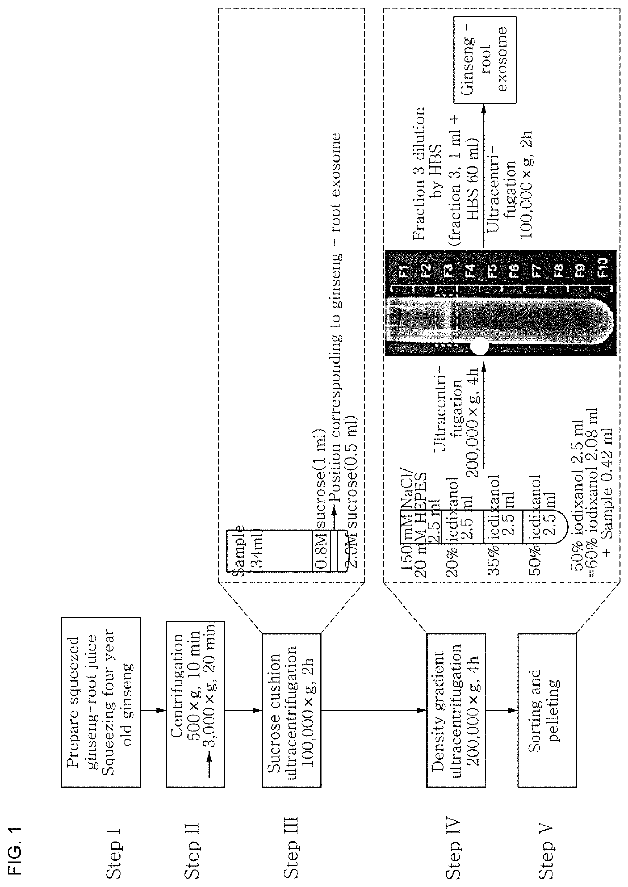 Lightening composition comprising ginseng-derived exosome-like vesicles