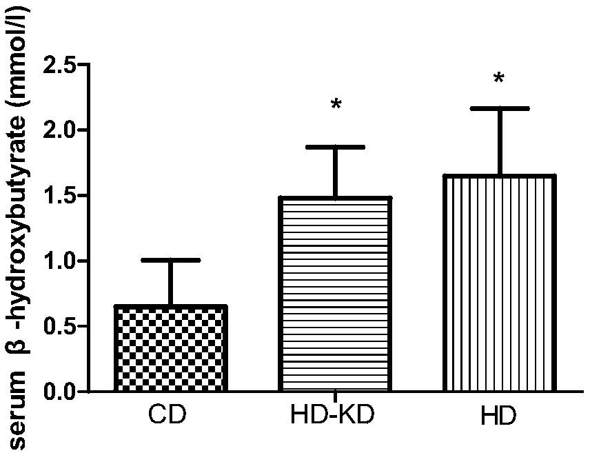 Ketogenic diet formula