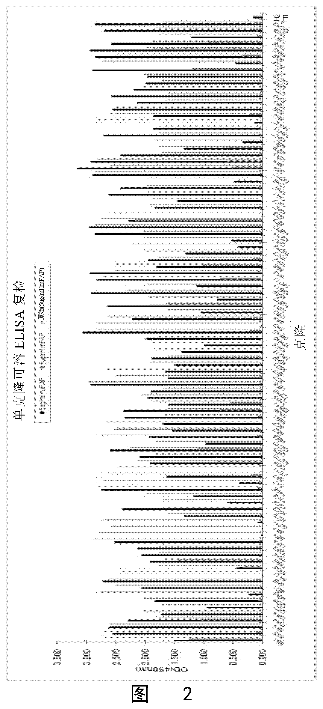 BINDING UNIT TARGETING FIBROBLAST ACTIVATION PROTEIN alpha AND APPLICATION THEREOF