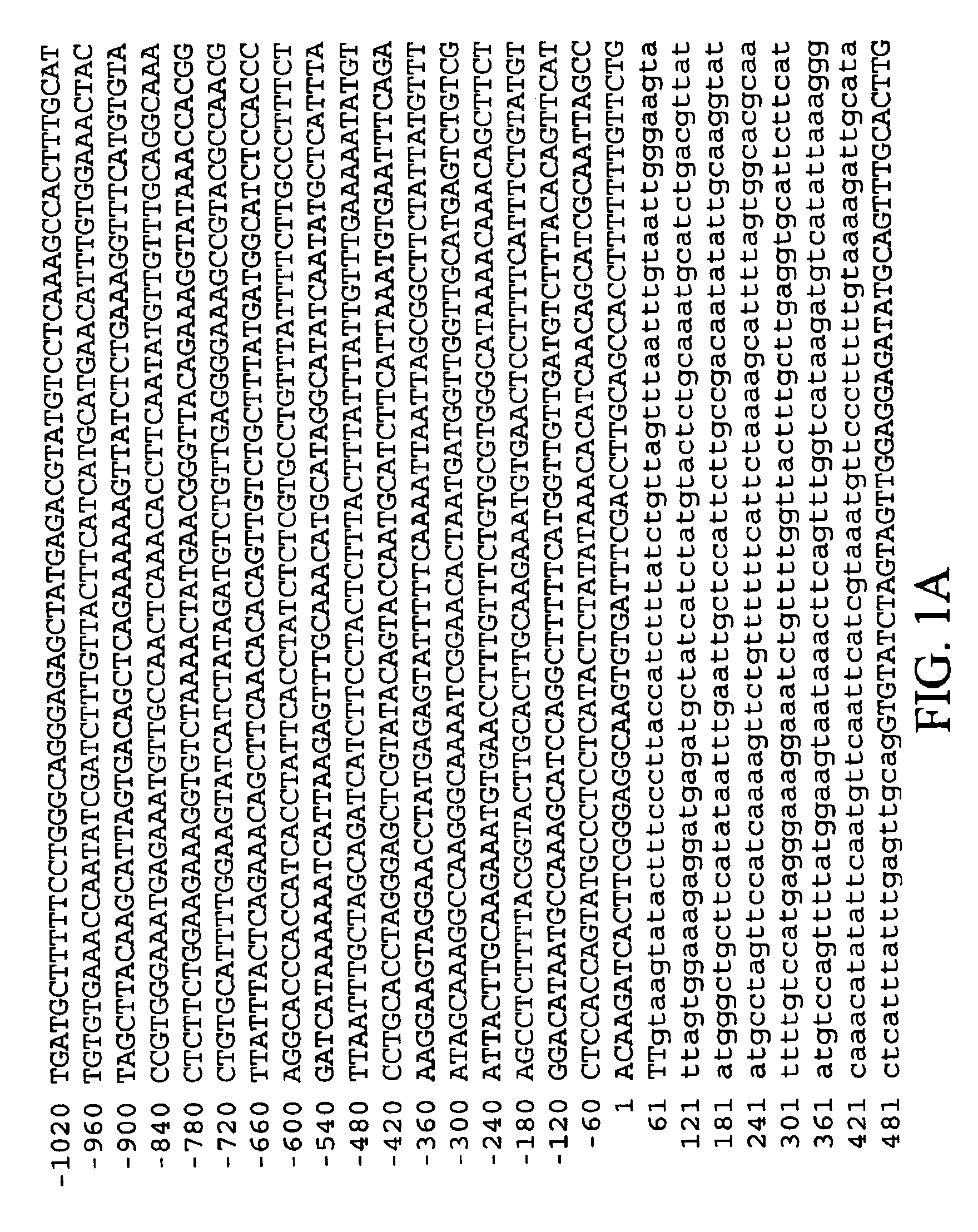 Heat stable mutants of starch biosynthesis enzymes