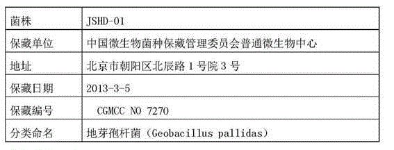 Denitrifying bacterium and fermenting production method thereof