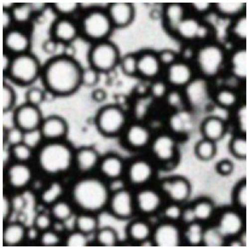 Method for preparing papermaking sizing emulsion based on cationic Janus particles