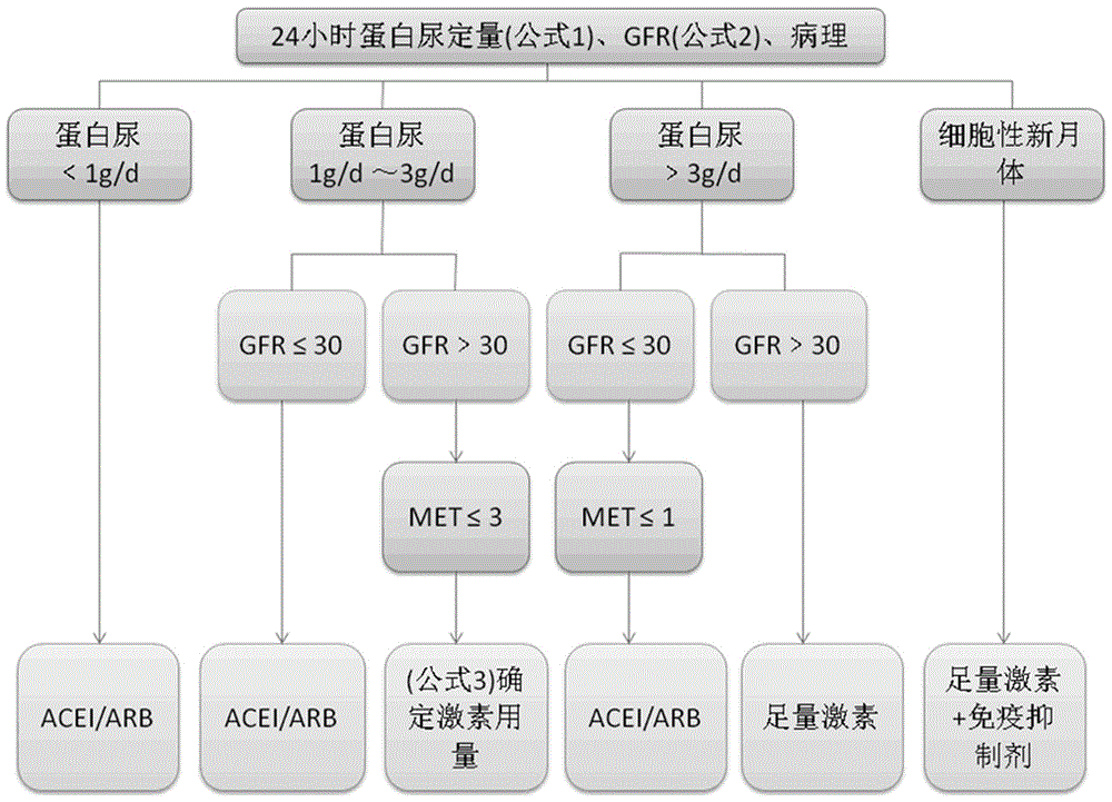 IgA nephrosis (IgAN) treatment scheme comprehensive evaluating device