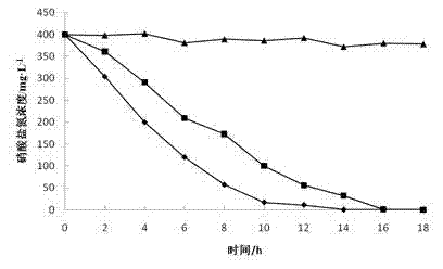 Application of immobilized quinone compound in accelerating denitrification process of microorganism