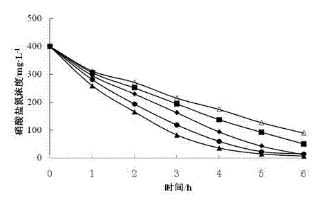 Application of immobilized quinone compound in accelerating denitrification process of microorganism