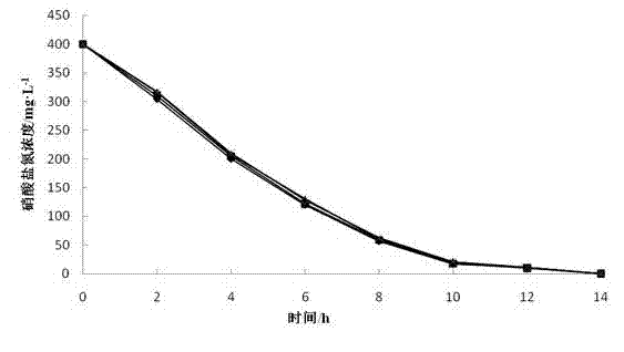 Application of immobilized quinone compound in accelerating denitrification process of microorganism