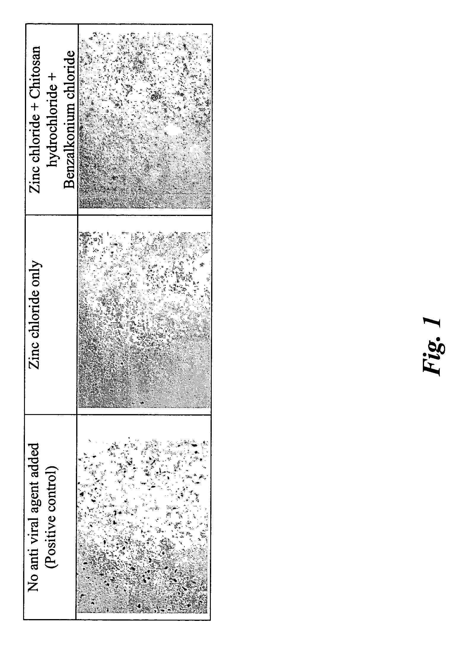 Anti-viral pharmaceutical compositions