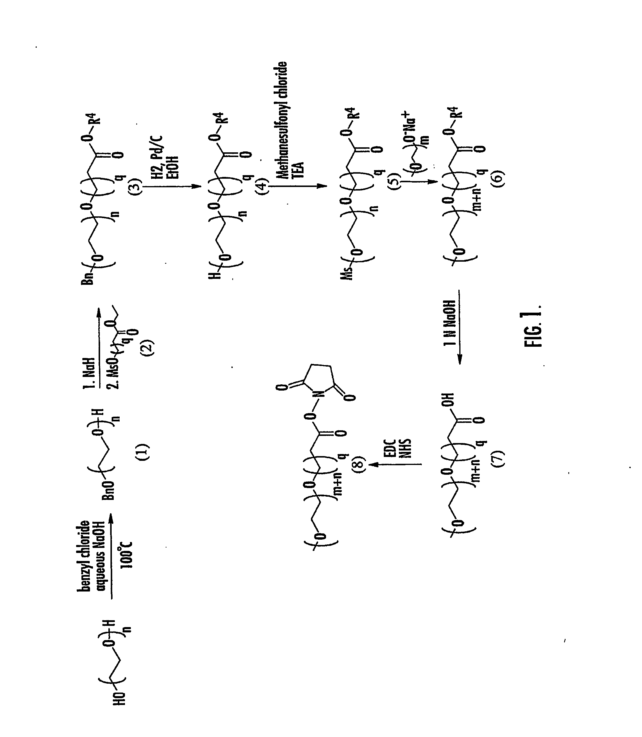 Mixtures Of Calcitonin Drug-Oligomer Conjugates And Methods Of Use In Pain Treatment