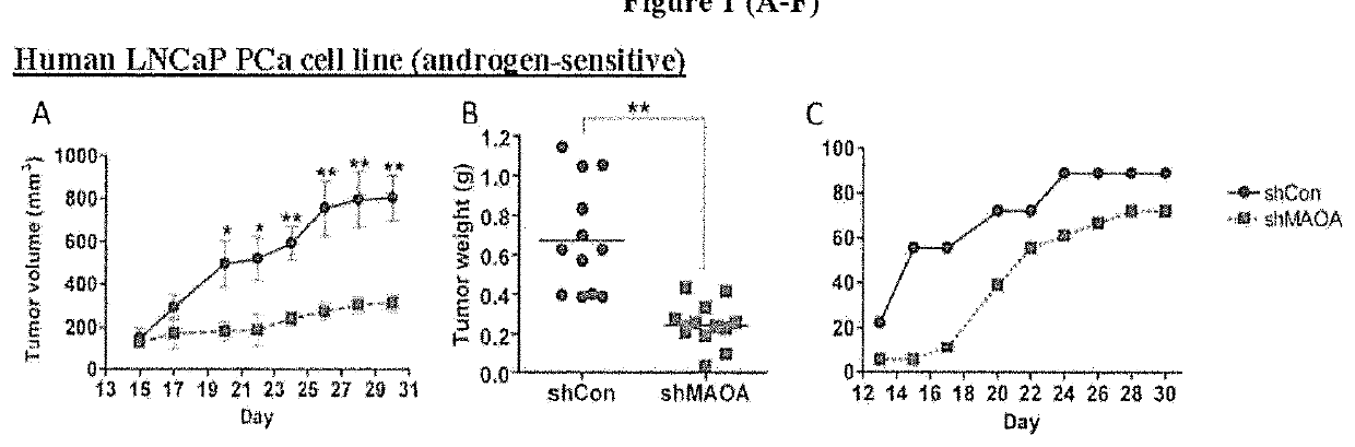 Monoamine oxidase inhibitors and methods for treatment and diagnosis of prostate cancer