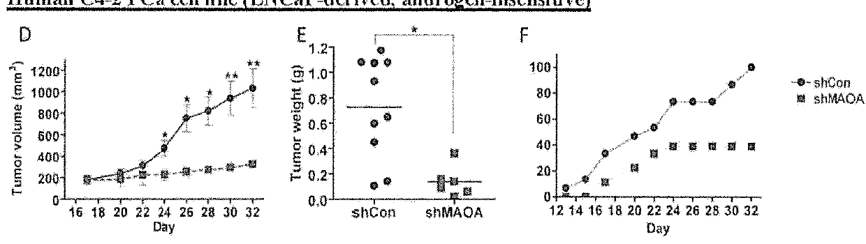 Monoamine oxidase inhibitors and methods for treatment and diagnosis of prostate cancer