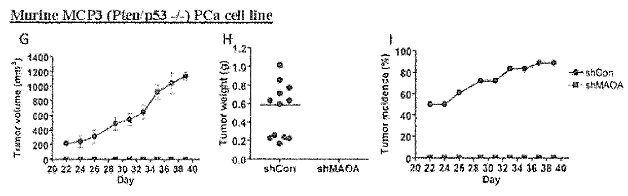 Monoamine oxidase inhibitors and methods for treatment and diagnosis of prostate cancer