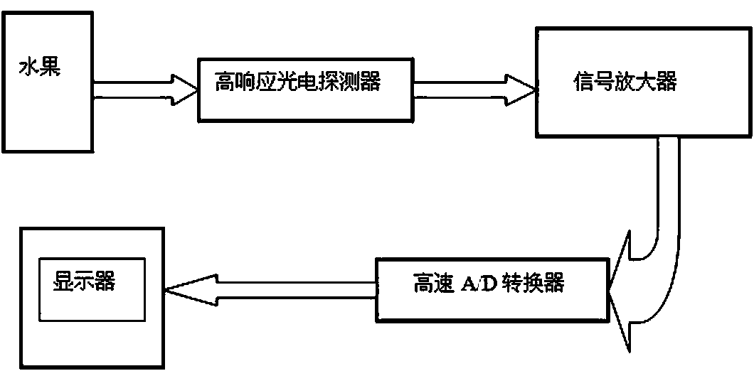 Method and system for non-destructive and rapid detection of fruit maturity by time-of-flight spectroscopy