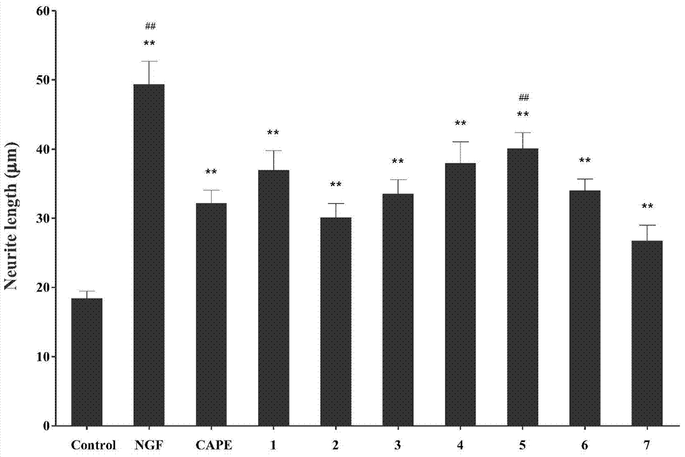 Phenethyl caffeate analogue and preparation and application thereof