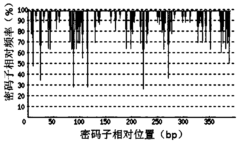 Recombinant human follicle-stimulating hormone and preparation method and drug application thereof