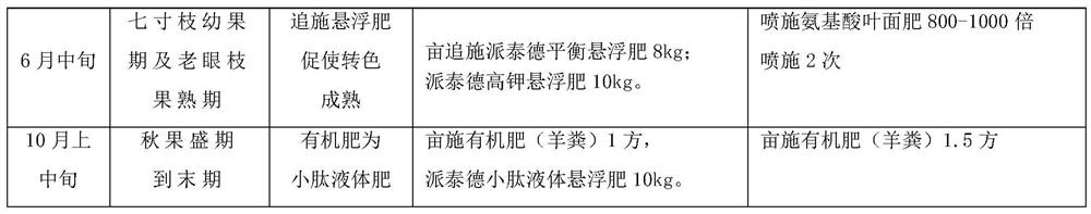 Planting management method for preventing basal stem rot of Chinese wolfberry and application of planting management method