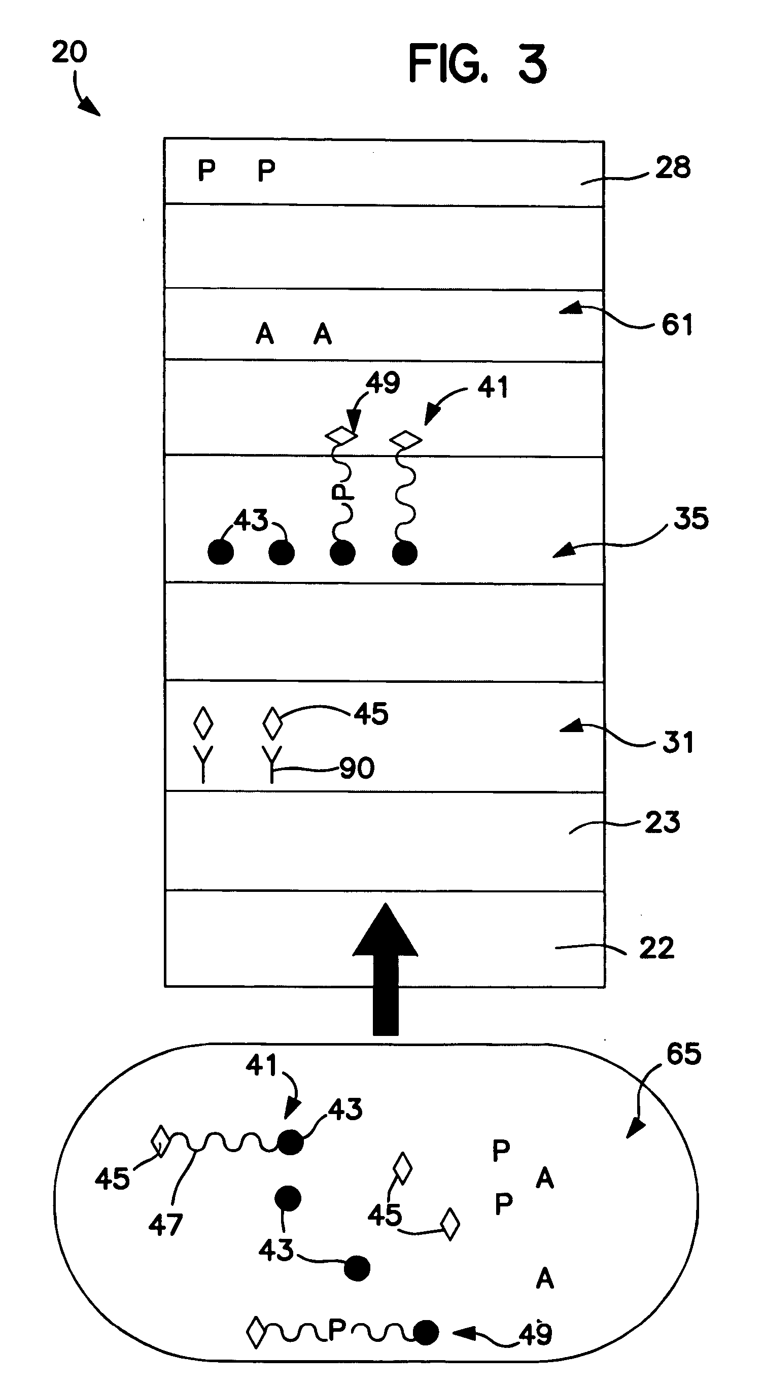 One-step enzymatic and amine detection technique