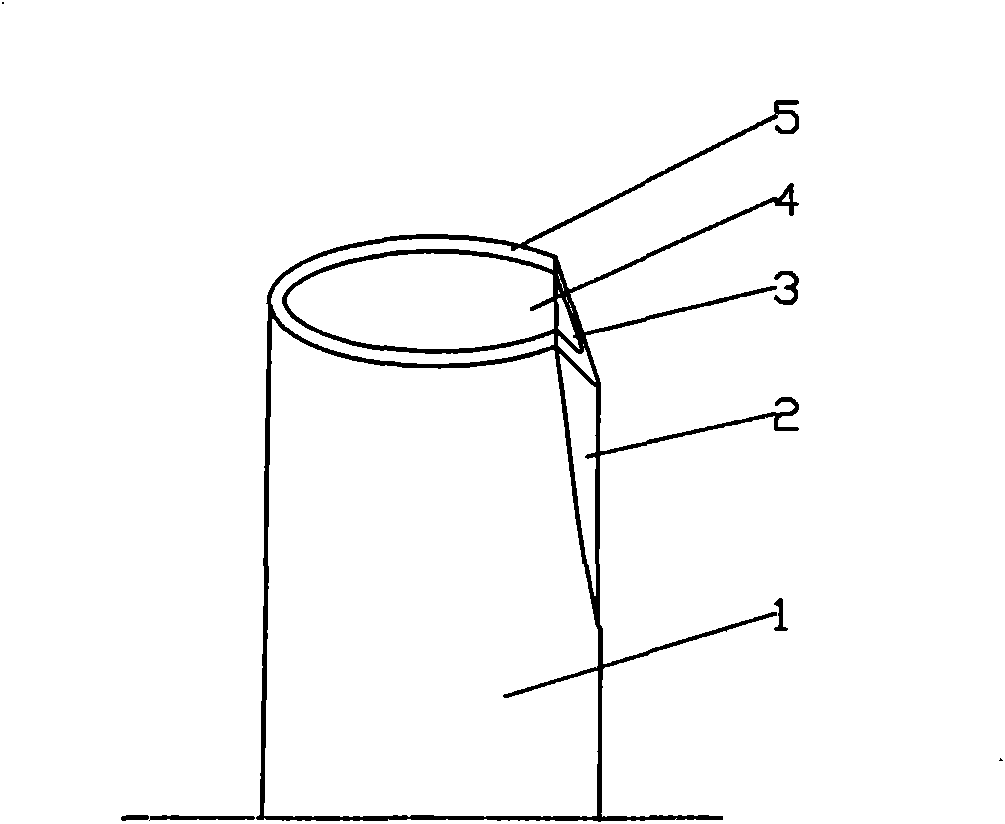 Walnut bark grafting method without moisture preservation and shading