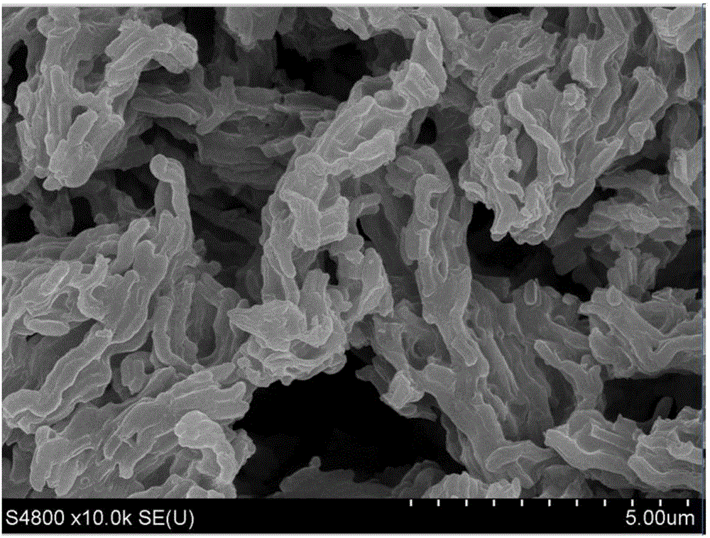 Electrochemical detection method of Staphylococcus aureus