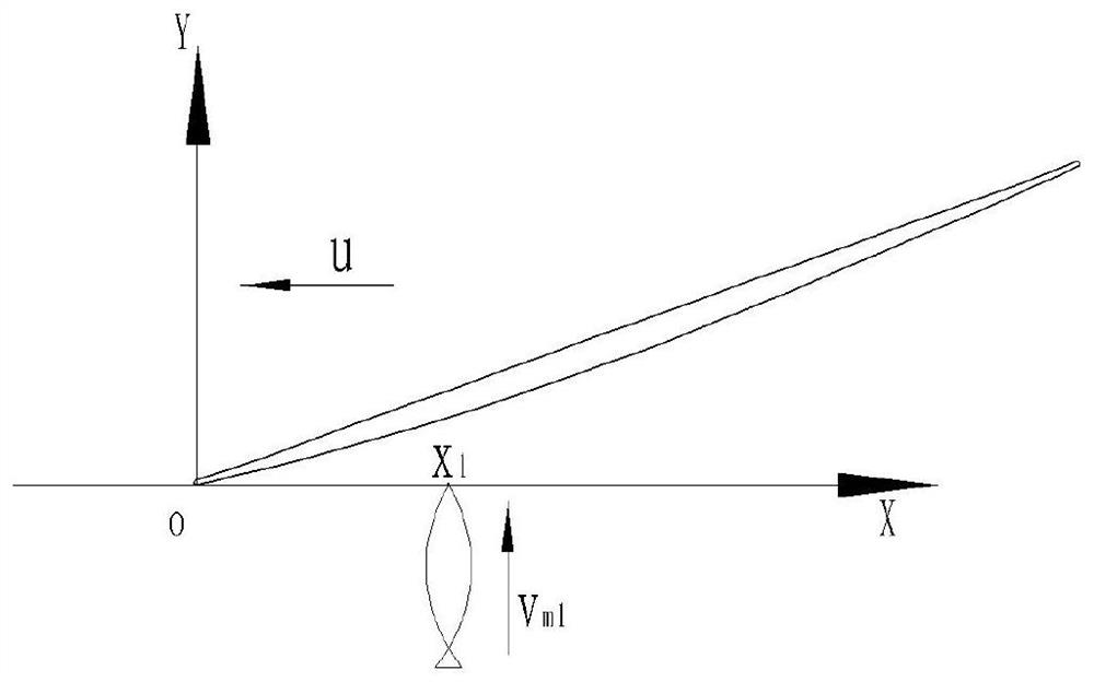 Method for correcting collision probability of fish-friendly axial flow pump and fish