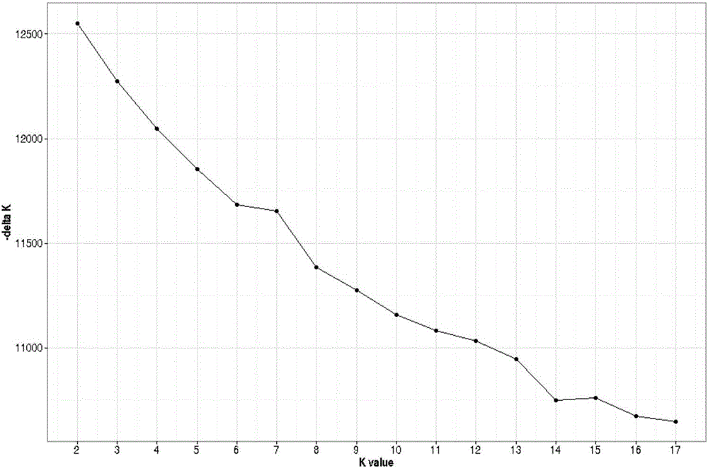 Ramie-yield-trait-associated SSR (simple sequence repeat) markers and application thereof