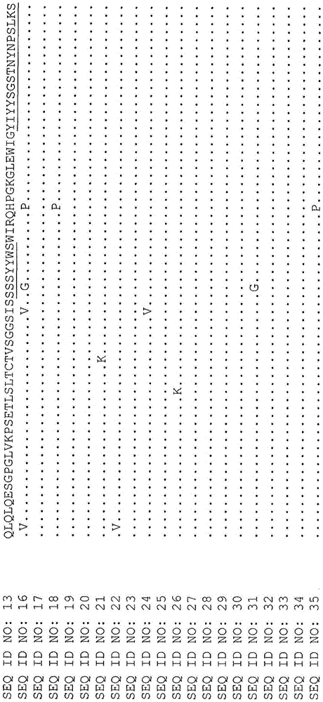 Anti-cd38 antibodies and fusions to attenuated interferon alpha-2b