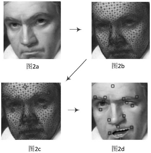 Figure expression editing method and device, computer storage medium and terminal