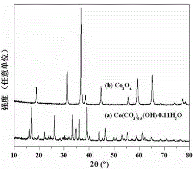 Method for preparing Co3O4 nanoribbon