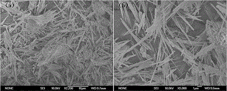 Method for preparing Co3O4 nanoribbon