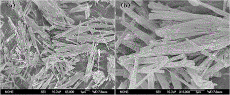 Method for preparing Co3O4 nanoribbon