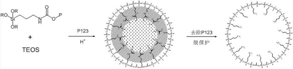 Preparation method of surface amino-group functionalization SBA-15 mesoporous silica