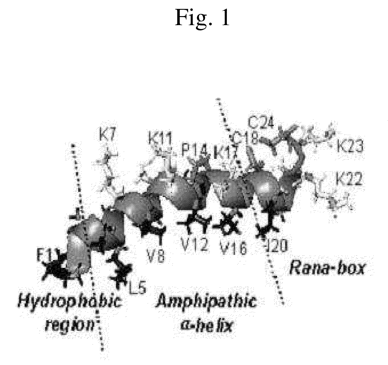 Novel Analogues of Antimicrobial and Anticancer Peptide Synthesized and Produced from Gaegurin 5