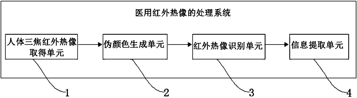 Medical infrared thermal image processing system and method for simulating channel directions of human body through same