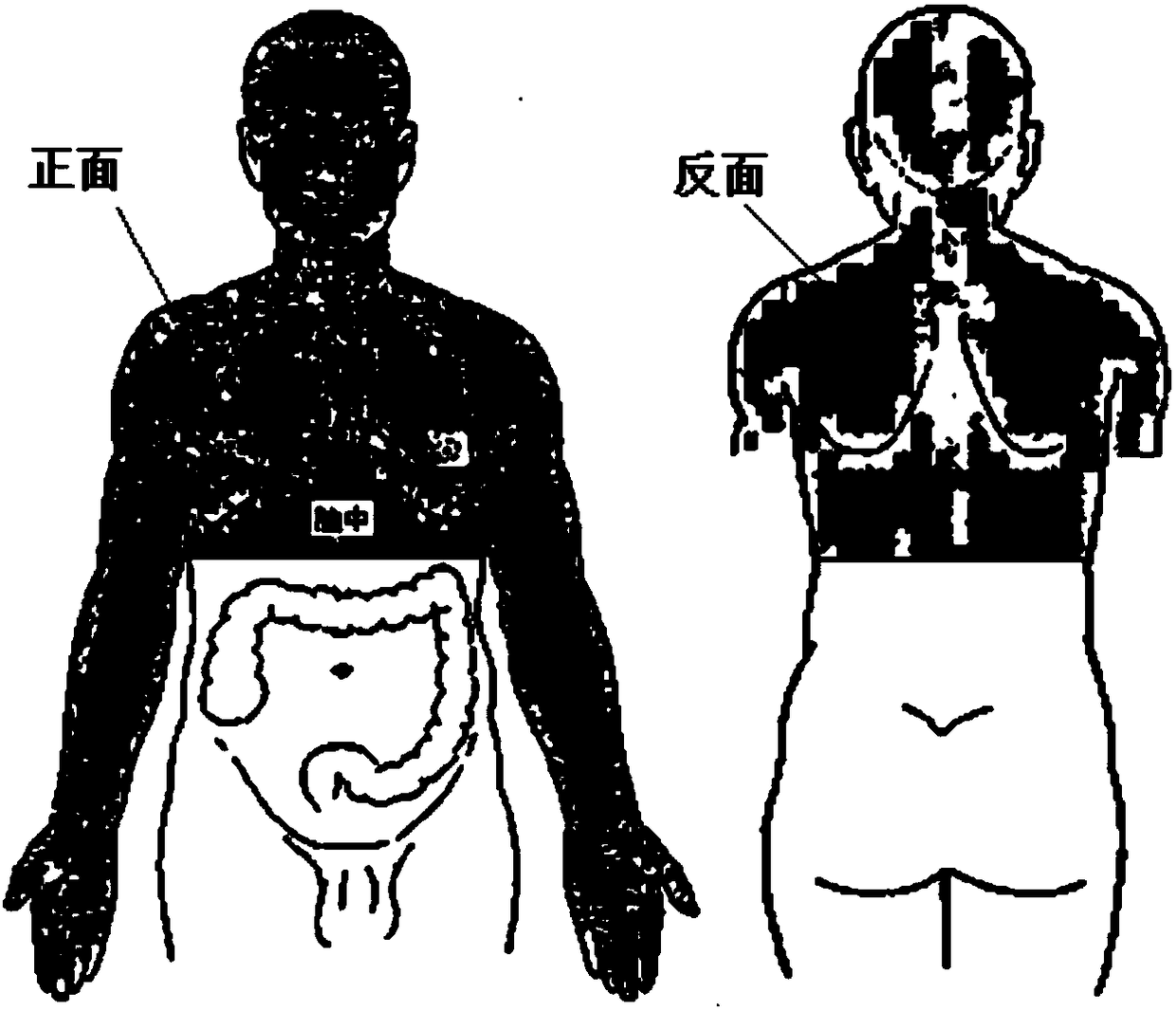 Medical infrared thermal image processing system and method for simulating channel directions of human body through same