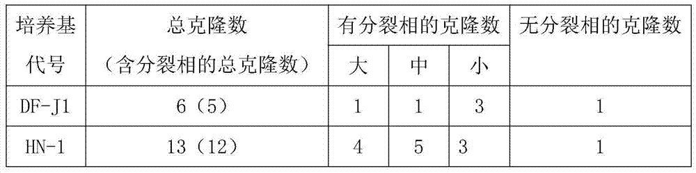 A low serum amniotic fluid culture medium