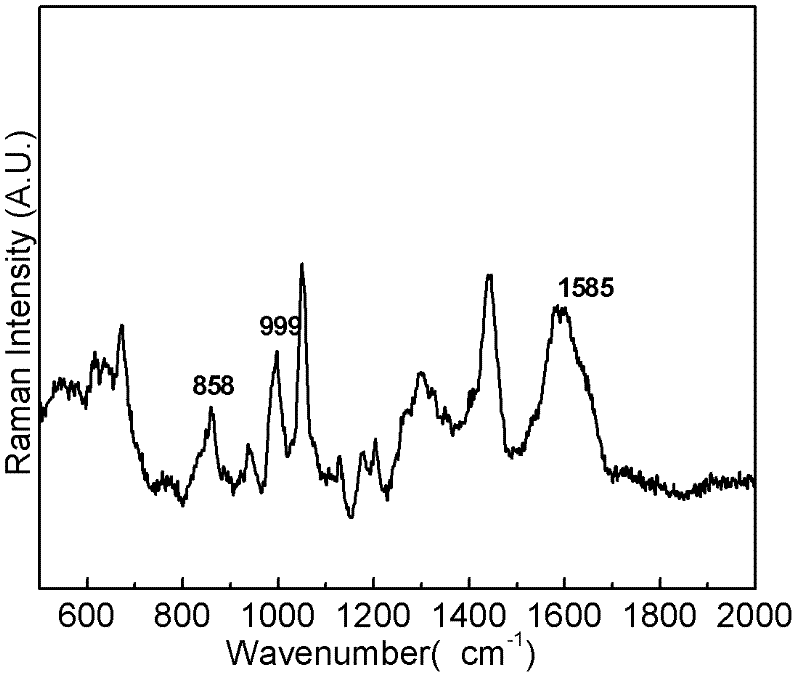 Surface enhanced raman spectroscopy detection method for sulfanilamide medicines