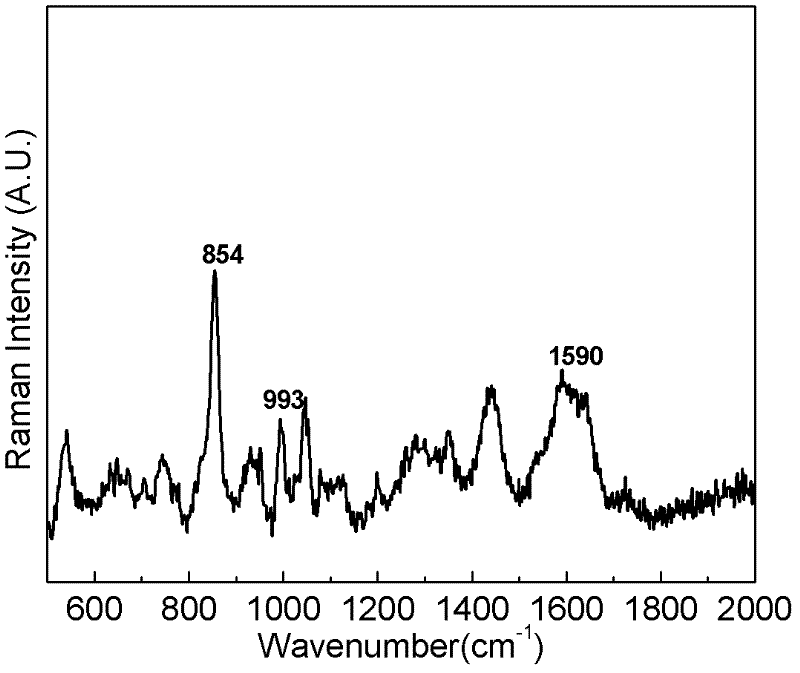 Surface enhanced raman spectroscopy detection method for sulfanilamide medicines