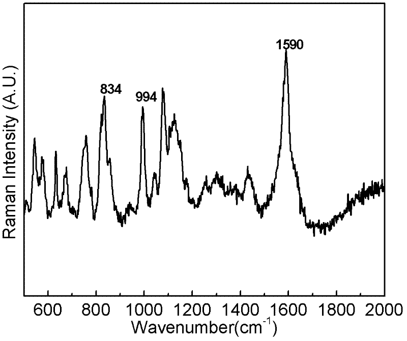 Surface enhanced raman spectroscopy detection method for sulfanilamide medicines