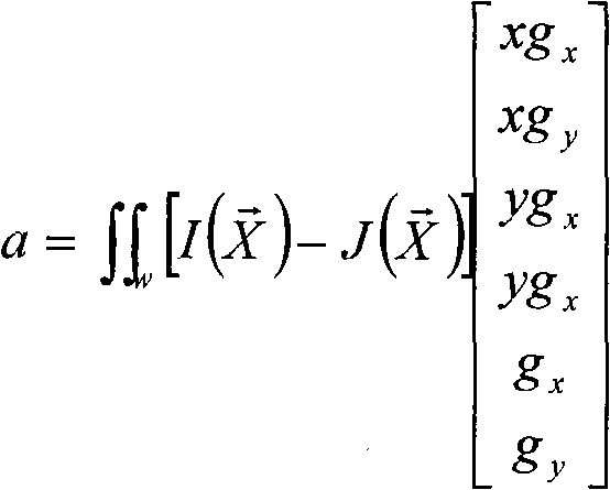 Particle filter and light stream vector-based video target tracking method