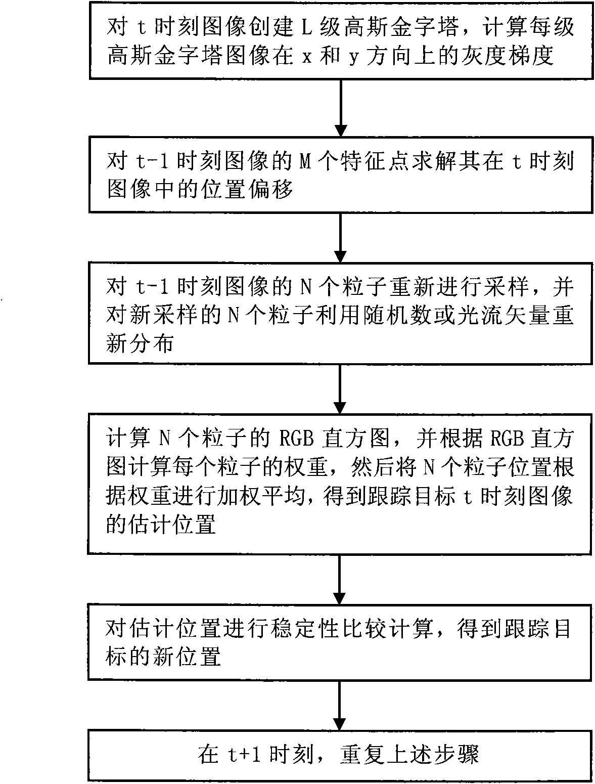 Particle filter and light stream vector-based video target tracking method