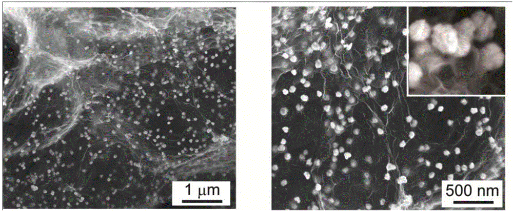 Gold nanoflower modified ionic liquid functionalized graphene paper electrode as well as preparation method and application thereof