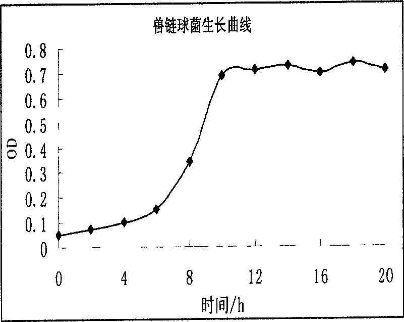 Viscosity reduction bacteria for increasing recovery ratio of petroleum, and application