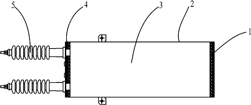 Power capacitor possessing noise shield device