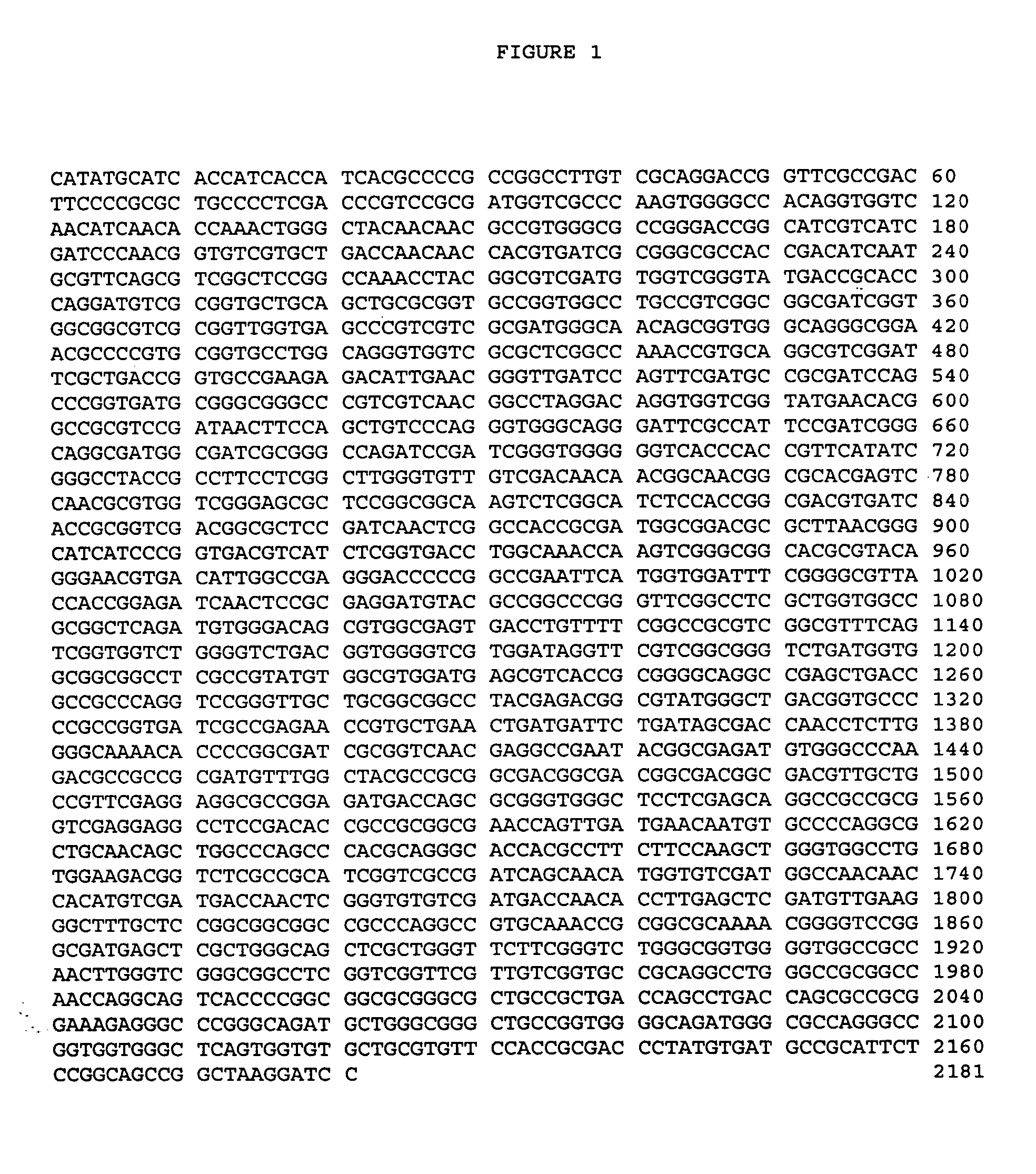 Fusion proteins of Mycobacterium tuberculosis