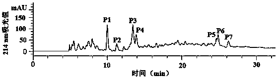 Sturgeon bone gelatine iron chelating peptide and preparation method thereof