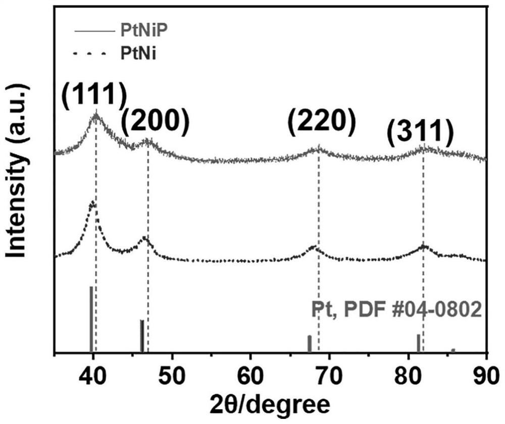 Phosphorus-doped platinum-nickel nanowire and preparation method and application thereof