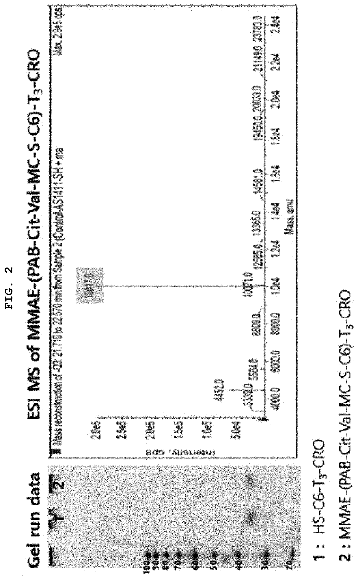 Aptamer-drug conjugate and use thereof