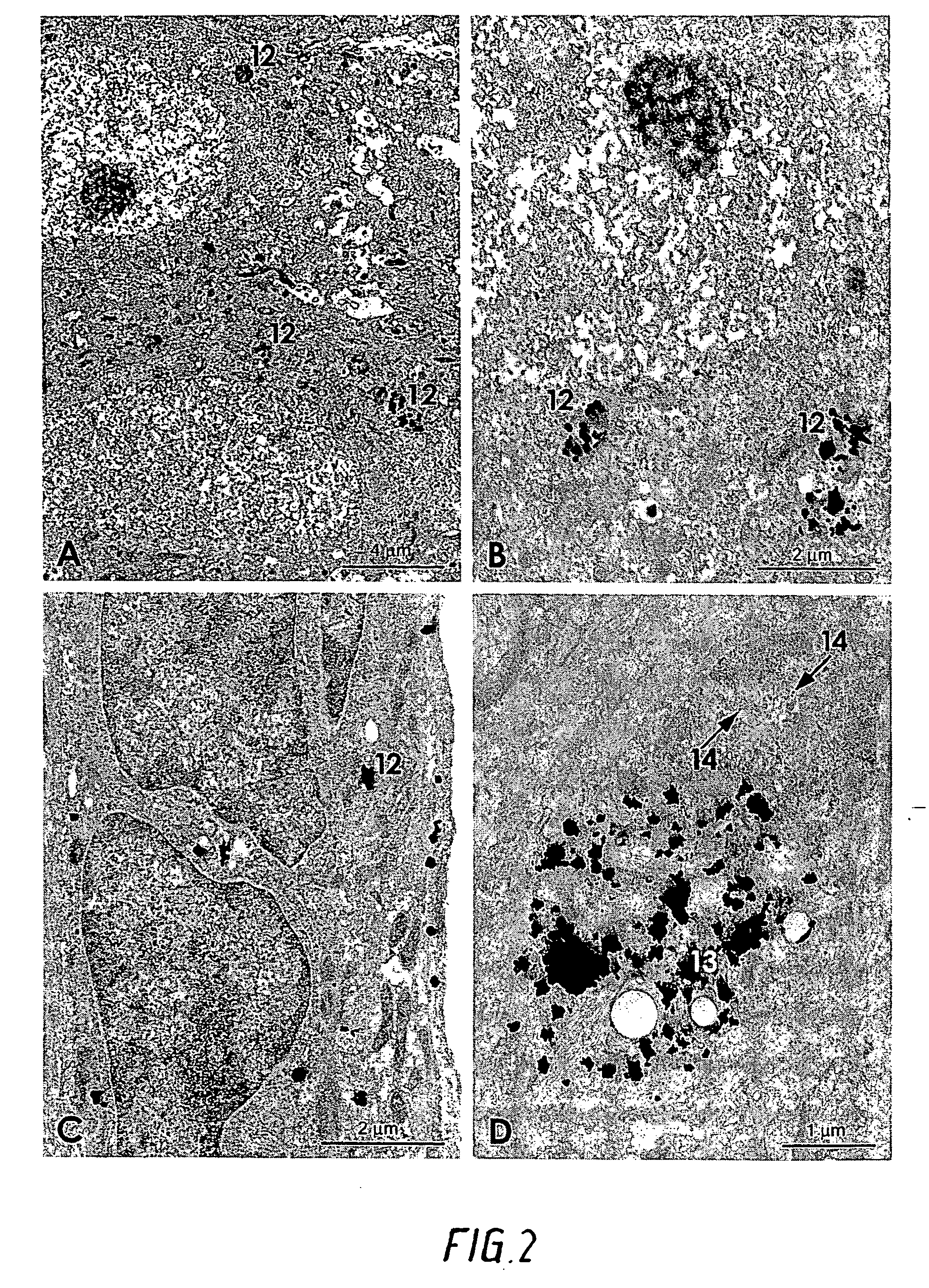 Medicament and method of treatment of patients with heavy metals