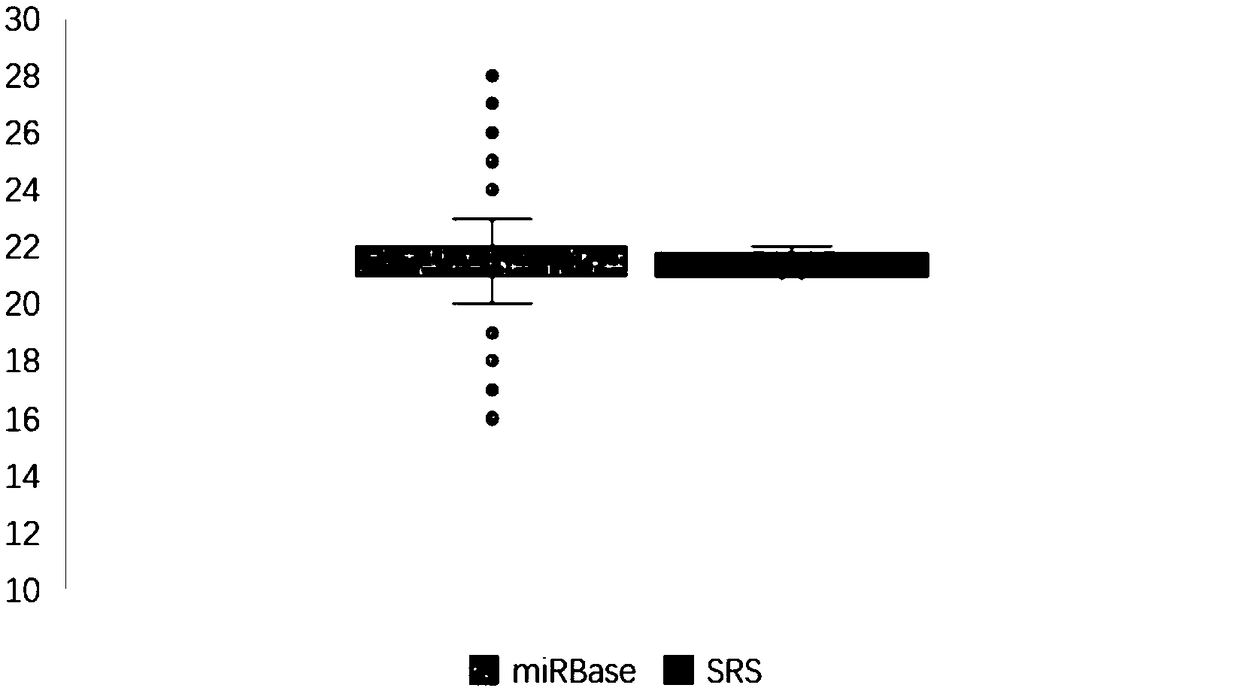 Reagent for miRNA sequencing quantitative result evaluation of cancer sample and preparation method and application thereof