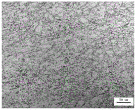 High-toughness and low-yield-ratio hot-rolled thick plate for cold-resistant pipeline and production method of high-toughness and low-yield-ratio hot-rolled thick plate